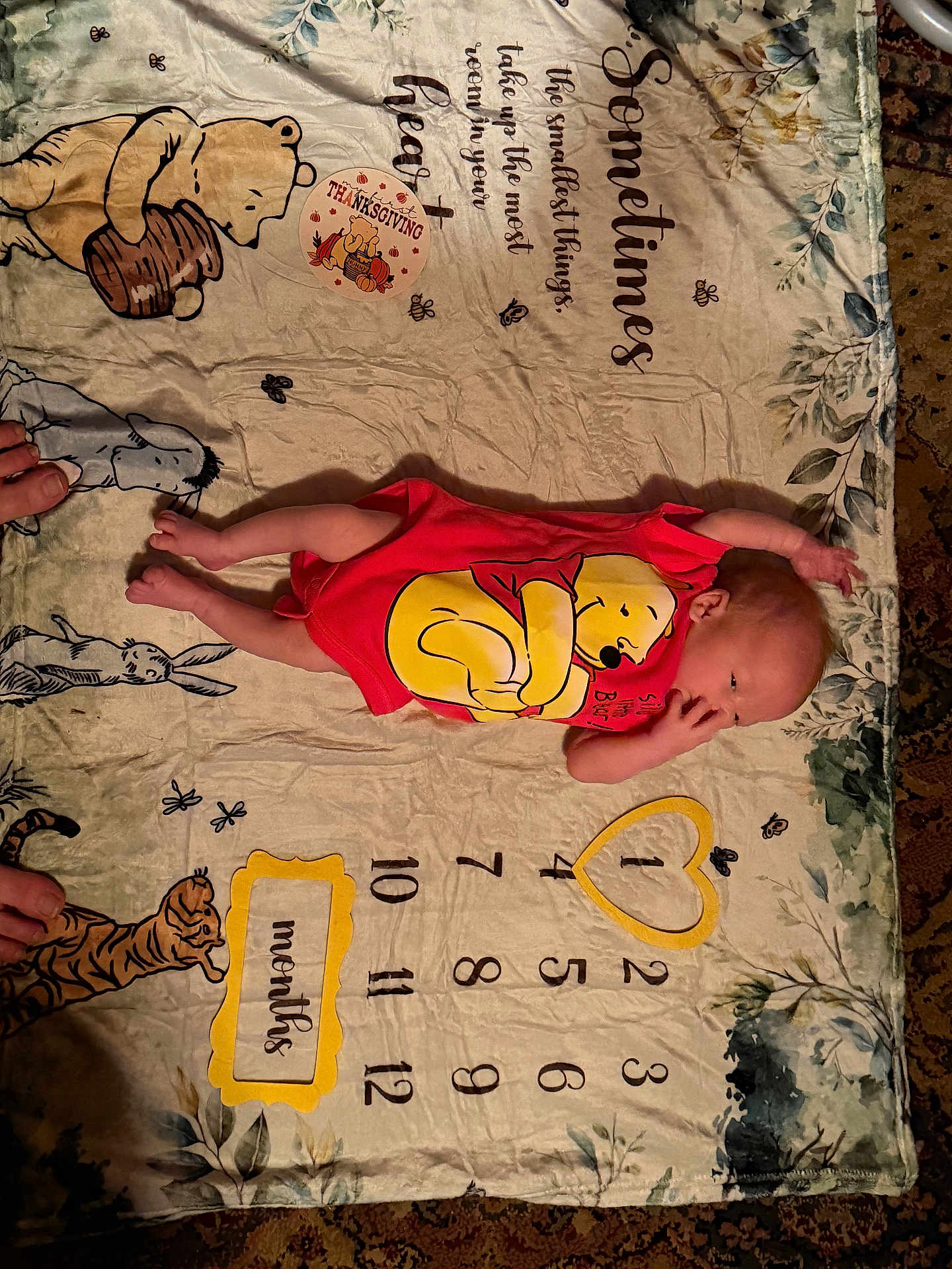 Darron is registered to the contest to win money with this photo: animal_characters, baby, carpet, cute, feet, hand, illustration, infant, lying_down, milestone_blanket, months, newborn, numbers, onesie, portrait, red_clothing, soft_texture, sticker, thanksgiving, winnie_the_pooh
