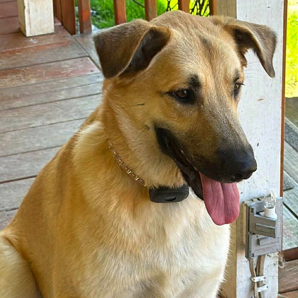 Delilah