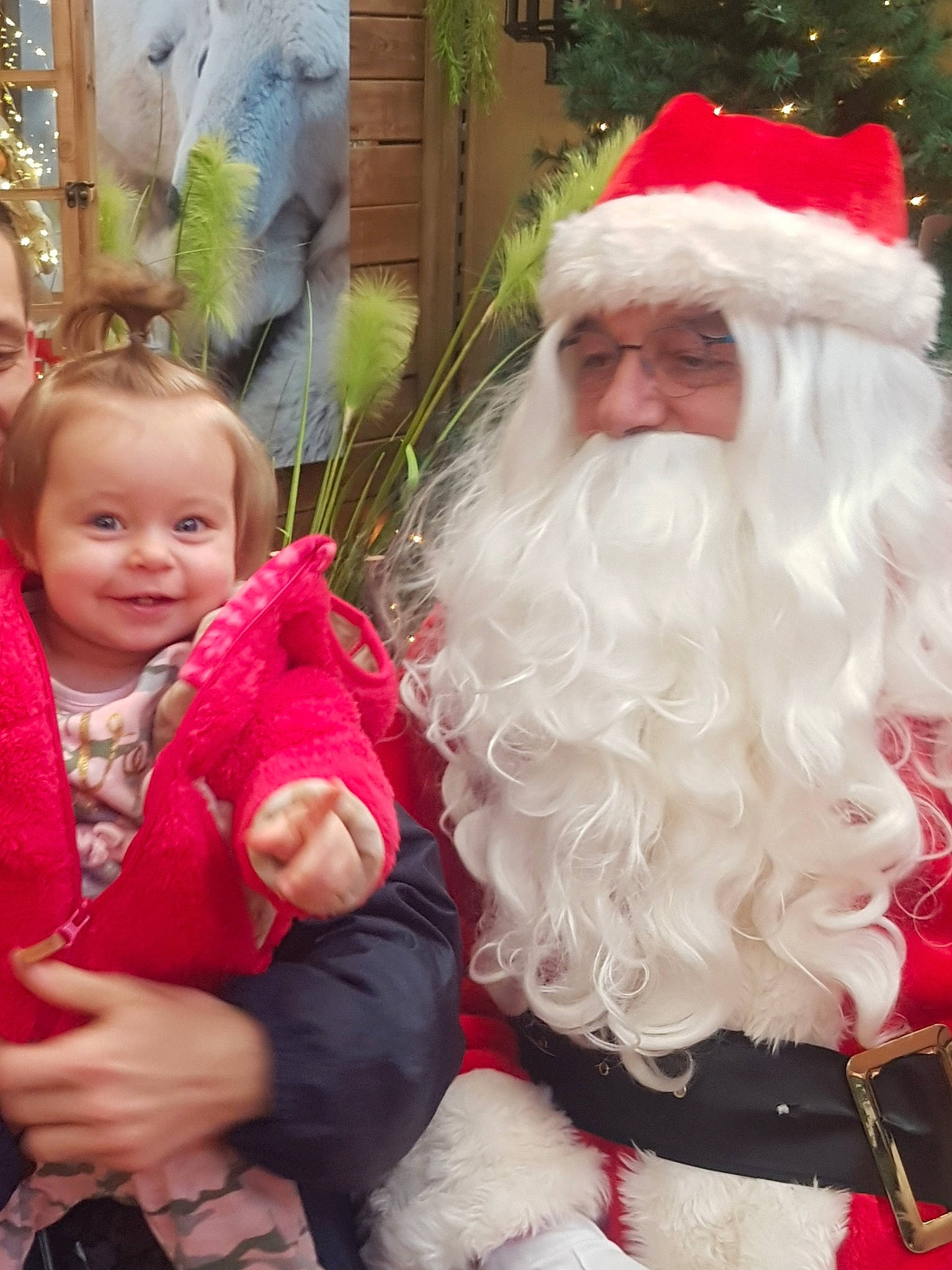 Emmie participe au concours pour gagner de l'argent avec cette photo : christmas, christmas_decoration, fictional_character, headwear, holiday, lap, person, santa_claus, tradition