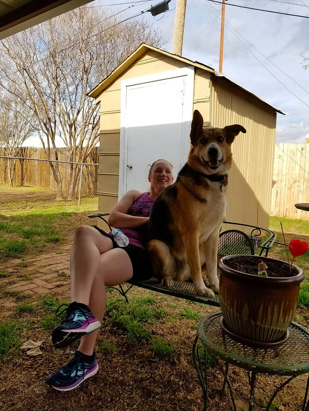 Frank joined the competition — help win amazing prizes! building, canidae, carnivore, companion_dog, dog, dog_breed, fawn, garden, grass, home, house, leisure, outdoor_furniture, plant, sky, sporting_group, table, tableware, thigh, tree