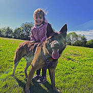 Hadès participe au concours pour gagner de l'argent avec cette photo : blue_sky, canine, casual_clothing, child, daytime, dog, field, fun, grass, greenery, happy, leisure, nature, outdoor, pet, playful, portrait, smiling, sunlight, young