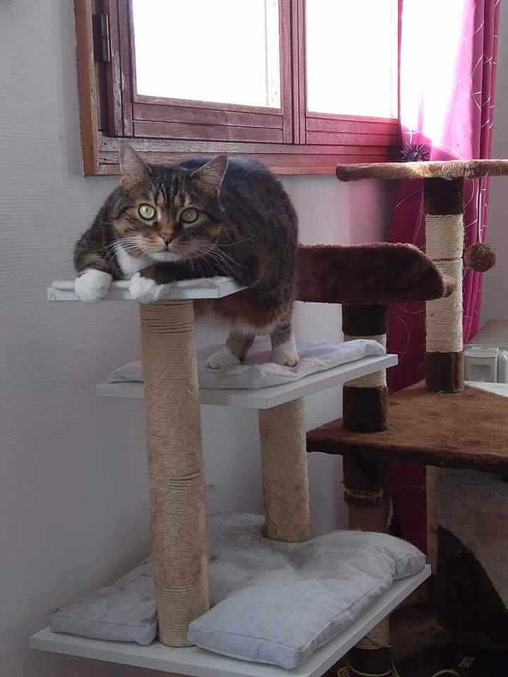 Bijou