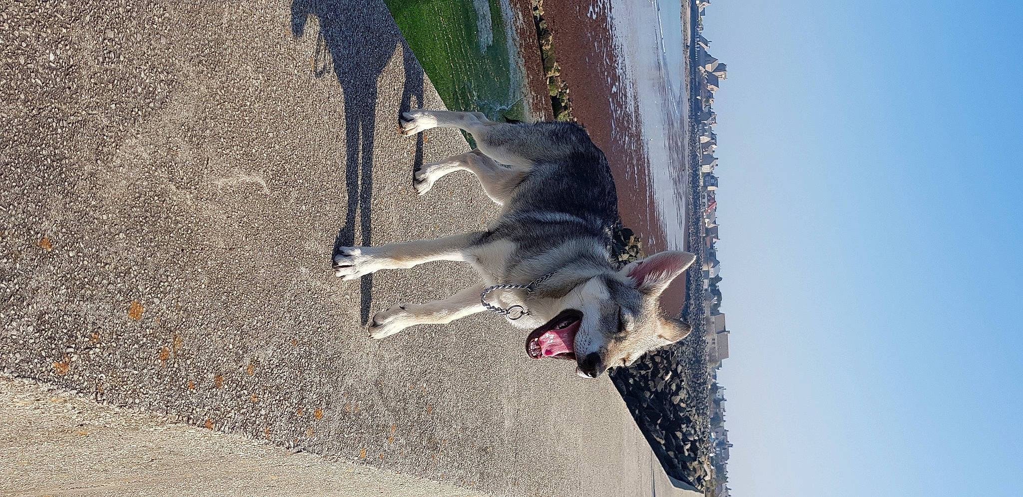 Paloma a rejoint le concours — aidez-le/la à gagner de superbes lots !