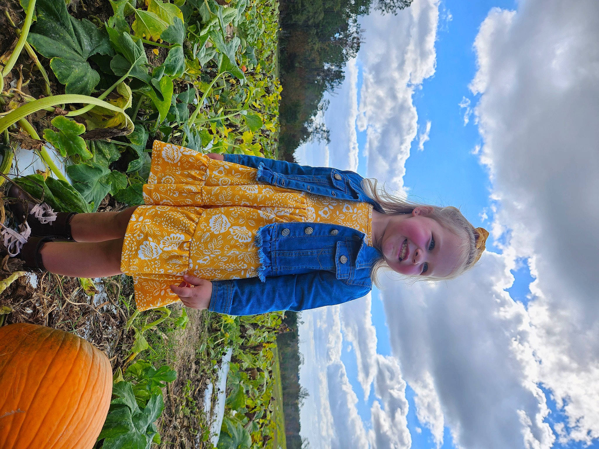 Ariya is registered to the contest to win money with this photo: agriculture, blue, calabaza, cloud, cucurbita, daytime, electric_blue, gourd, grass, happy, joy, leisure, natural_foods, people_in_nature, person, plant, pumpkin, sky, spring, squash