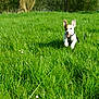 Many participe au concours pour gagner de l'argent avec cette photo :