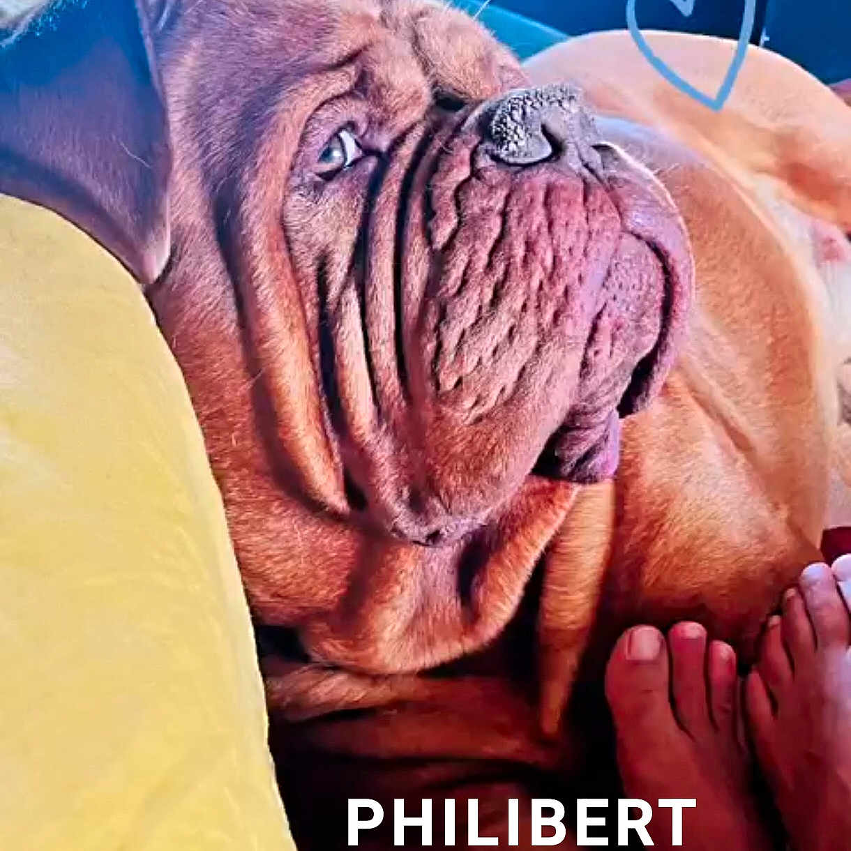 Philibert