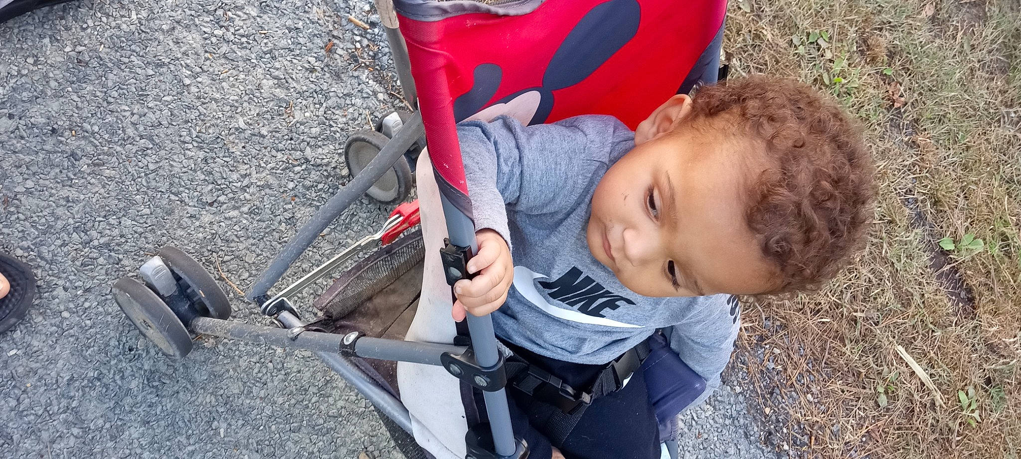 Kaicen joined the competition — help win amazing prizes! adventure, automotive_tire, baby, baby_carriage, baby_products, bicycle_frame, bicycle_tire, child, comfort, electric_blue, grass, person, plant, recreation, rim, spoke, tire, toddler, tree, vehicle