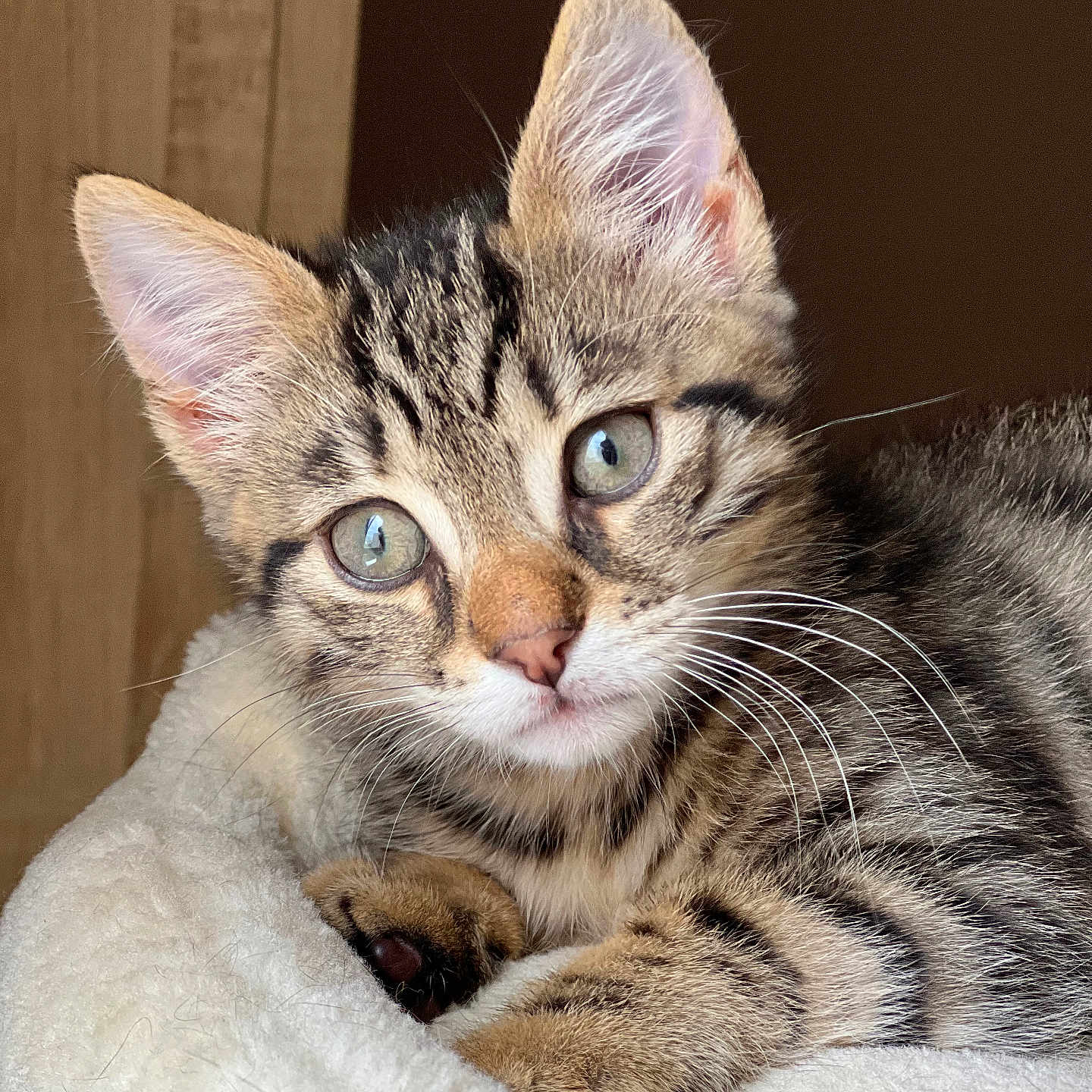 Yuki