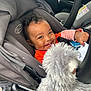 baby, car_seat, smile, child, toy, stuffed_animal, gray, orange_clothing, infant, seatbelt, happy, car_interior, person, cute, plush, portrait, young_child, curly_hair, indoors, playful