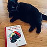 black_cat, cat, wooden_floor, book, animal, pet, indoor, floor, relaxing, lying_down, feline, cover_art, illustration, reading, domestic_cat, cute, cozy, companion, still_life, calm