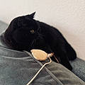 Jelena Z.