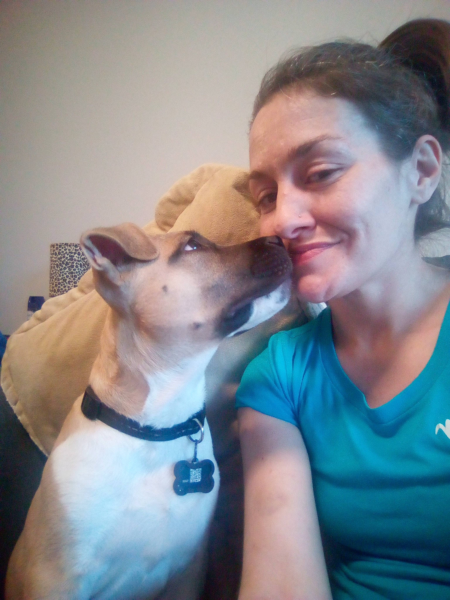 Ace is registered to the contest to win money with this photo: canidae, carnivore, collar, companion_dog, dog, dog_breed, dog_collar, ear, event, fawn, fur, guard_dog, happy, kiss, selfie, smile, snout, sporting_group, t_shirt, whiskers