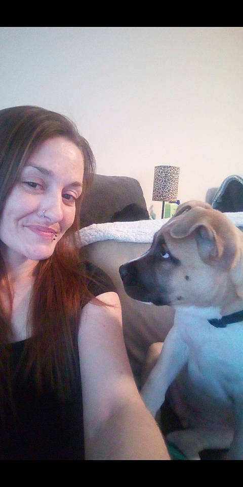 Ace joined the competition — help win amazing prizes! carnivore, comfort, companion_dog, dog, dog_breed, ear, eyelash, fawn, flash_photography, fun, fur, gesture, happy, jaw, layered_hair, selfie, sitting, smile, sporting_group, working_animal