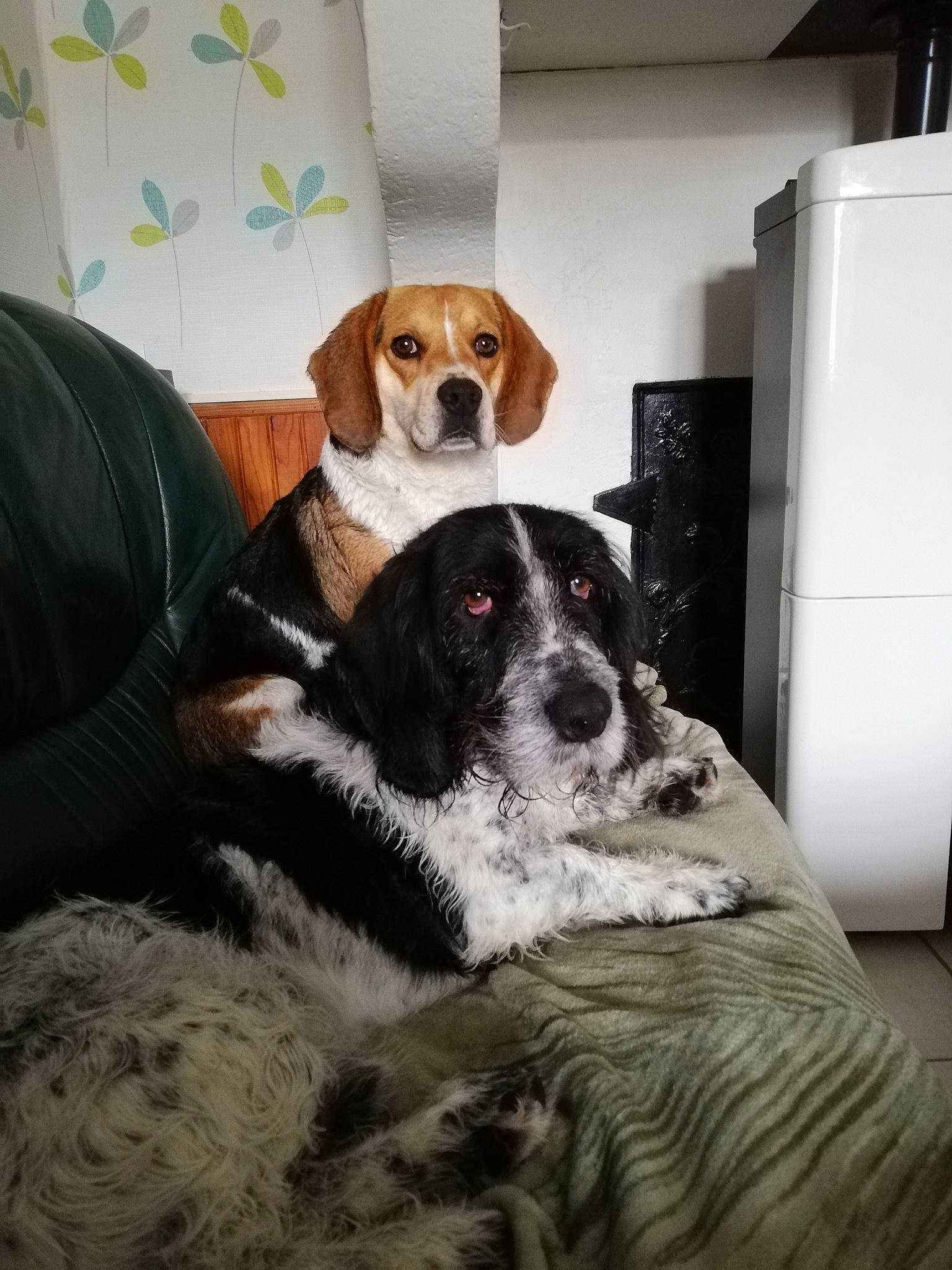 Pepsi Et Lulu