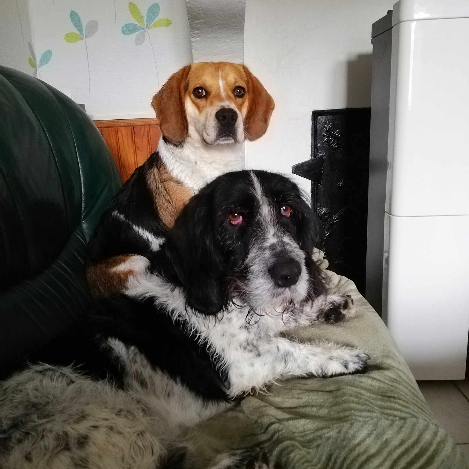 Pepsi Et Lulu