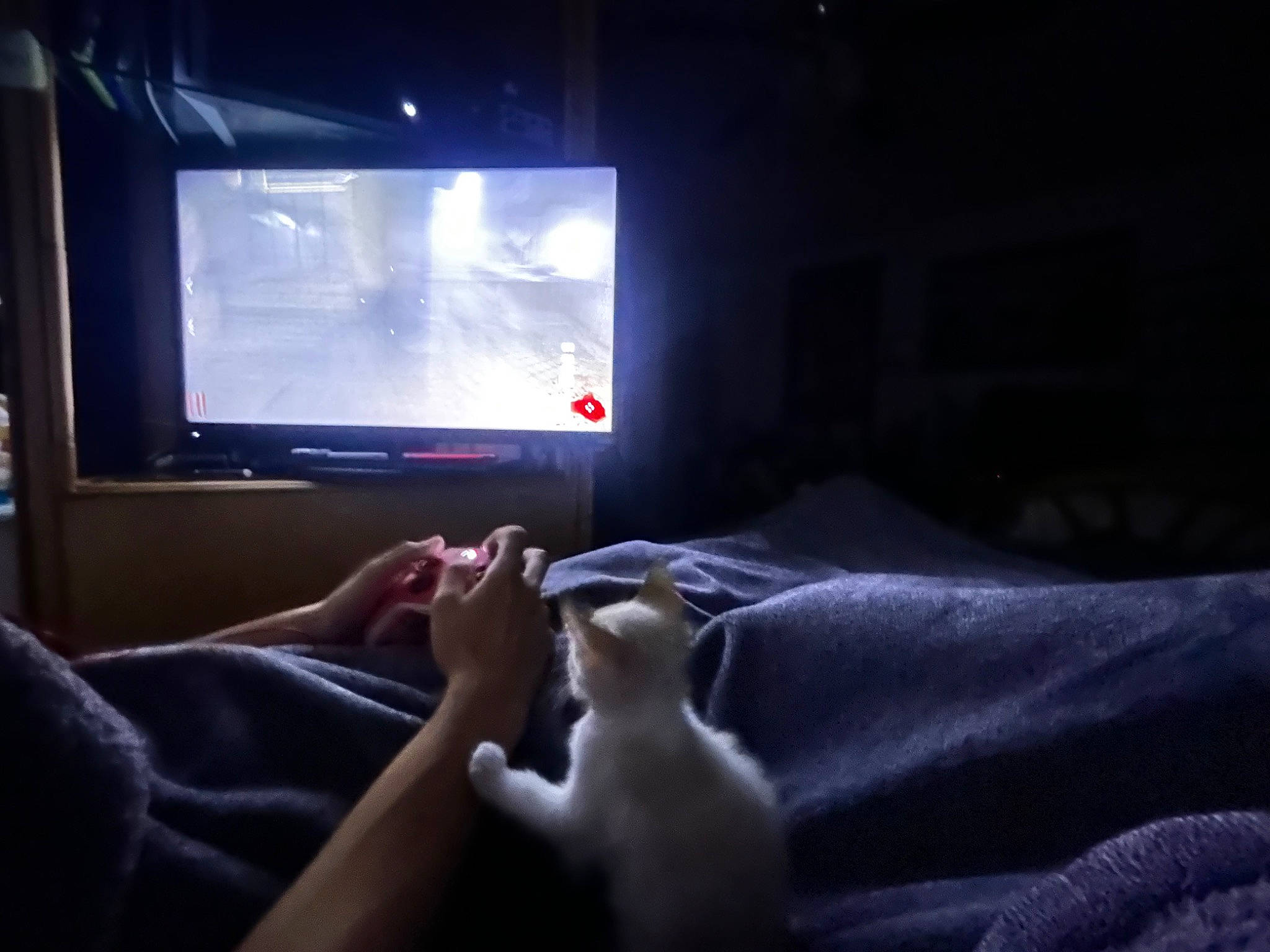 Celica joined the competition — help win amazing prizes! barefoot, comfort, computer_monitor_accessory, darkness, display_device, electronic_device, entertainment, finger, flat_panel_display, foot, gadget, gesture, hand, human_leg, multimedia, output_device, television, television_set, thumb, wrist