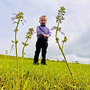 David is registered to the contest to win money with this photo: child, grass, flower, field, sky, cloud, greenery, nature, boy, formal_clothing, bow_tie, outdoor, standing, blurred_background, closeup_flowers, plants, daylight, casual_pose, young_child, smiling