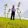 child, grass, flower, field, sky, cloud, greenery, nature, boy, formal_clothing, bow_tie, outdoor, standing, blurred_background, closeup_flowers, plants, daylight, casual_pose, young_child, smiling
