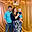 Joshua N Sandy B.