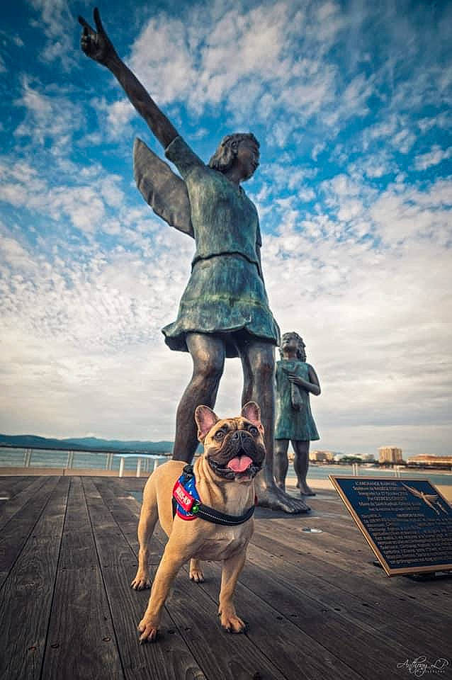 Preston participe au concours pour gagner de l'argent avec cette photo : canidae, carnivore, collar, companion_dog, dog, dog_breed, dog_collar, fawn, fictional_character, guard_dog, human, leash, molosser, old_english_bulldog, pet_supply, sculpture, snout, sporting_group, working_animal, wrinkle