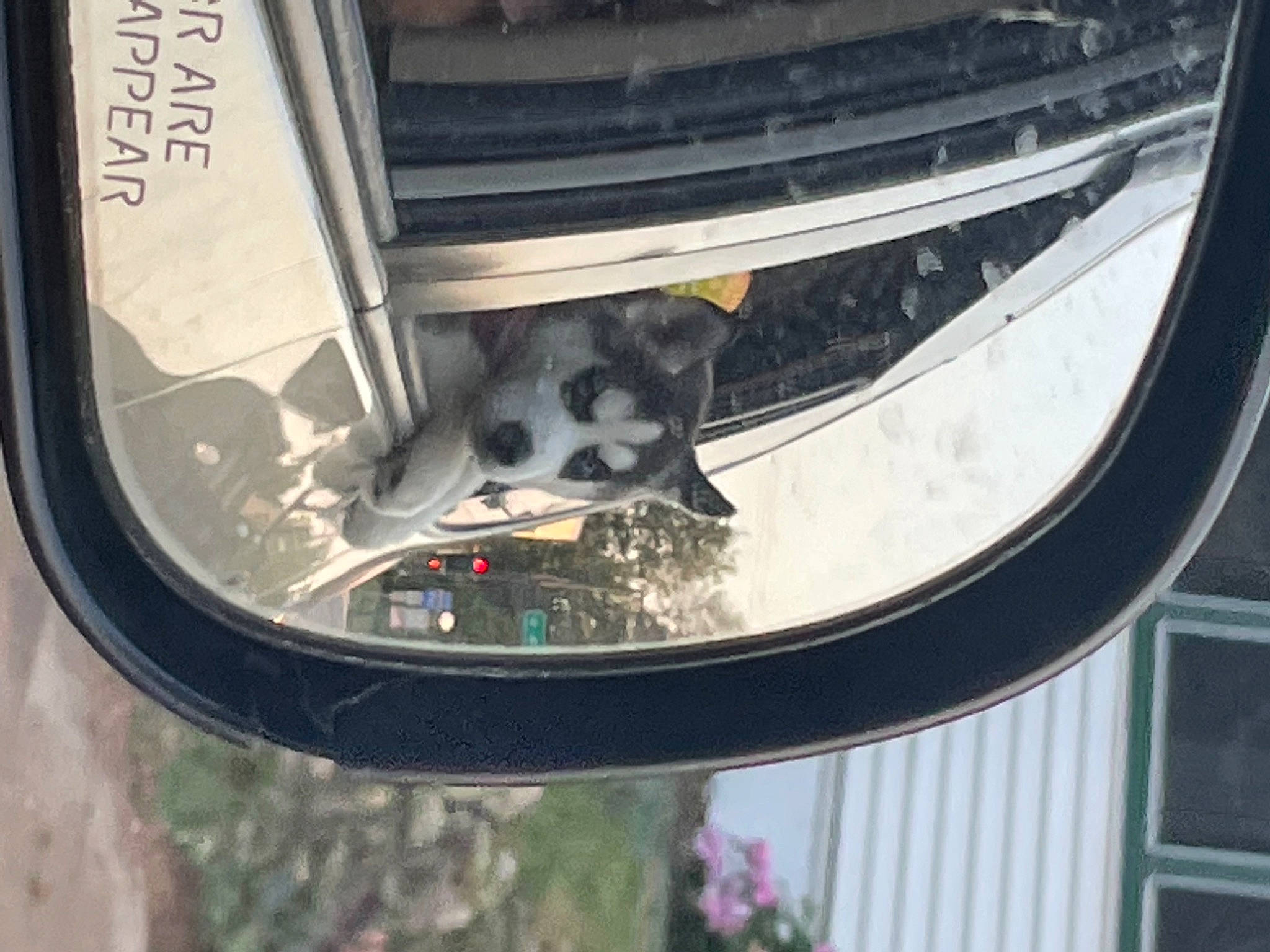 Haven joined the competition — help win amazing prizes! automotive_design, automotive_exterior, automotive_lighting, automotive_tire, bicycle_tire, bumper, fender, gas, grille, hood, motor_vehicle, plant, rim, synthetic_rubber, tints_and_shades, tire, tread, vehicle, wheel, window