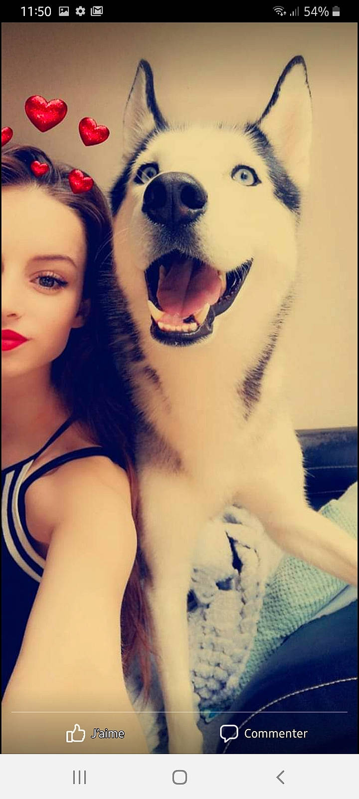 Nexus participe au concours pour gagner de l'argent avec cette photo : beauty, carnivore, companion_dog, cool, dog, dog_breed, fawn, gesture, happy, jaw, light, mouth, nose, organ, photograph, smile, snapshot, snout, whiskers, white