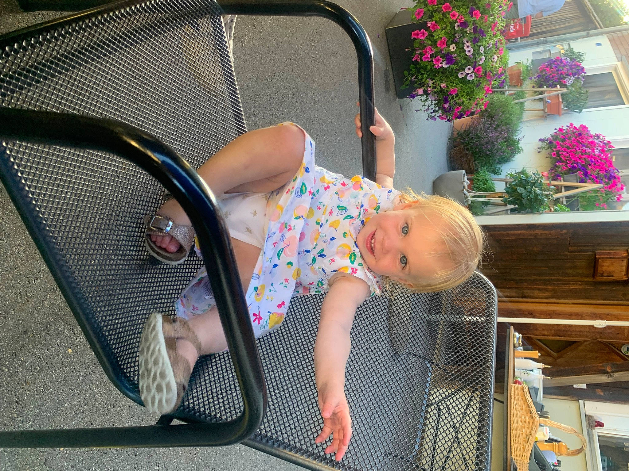 Amandine participe au concours pour gagner de l'argent avec cette photo : automotive_exterior, baby, baby_products, baby_safety, baby_toddler_clothing, chair, child, comfort, flower, fun, grass, houseplant, joy, leisure, mesh, pattern, person, plant, product, public_space