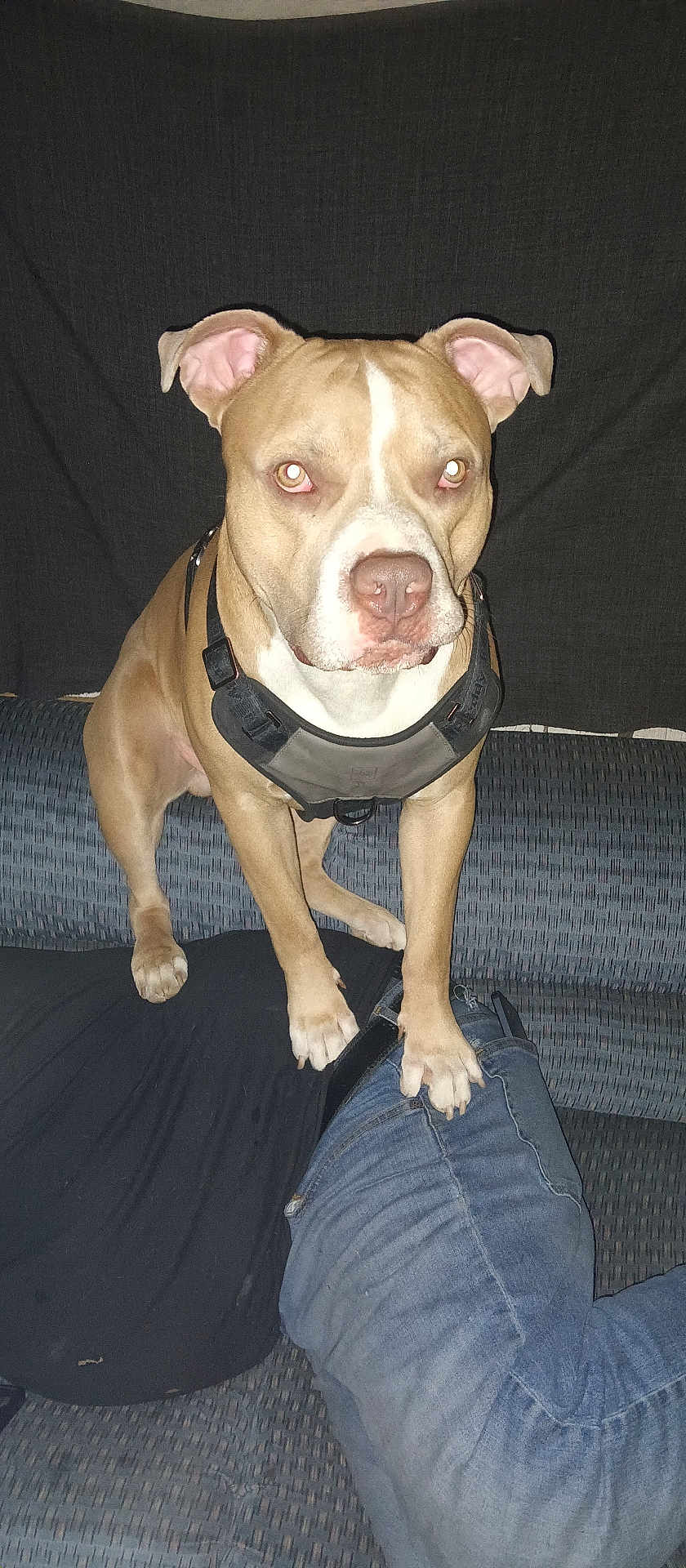 Trouble