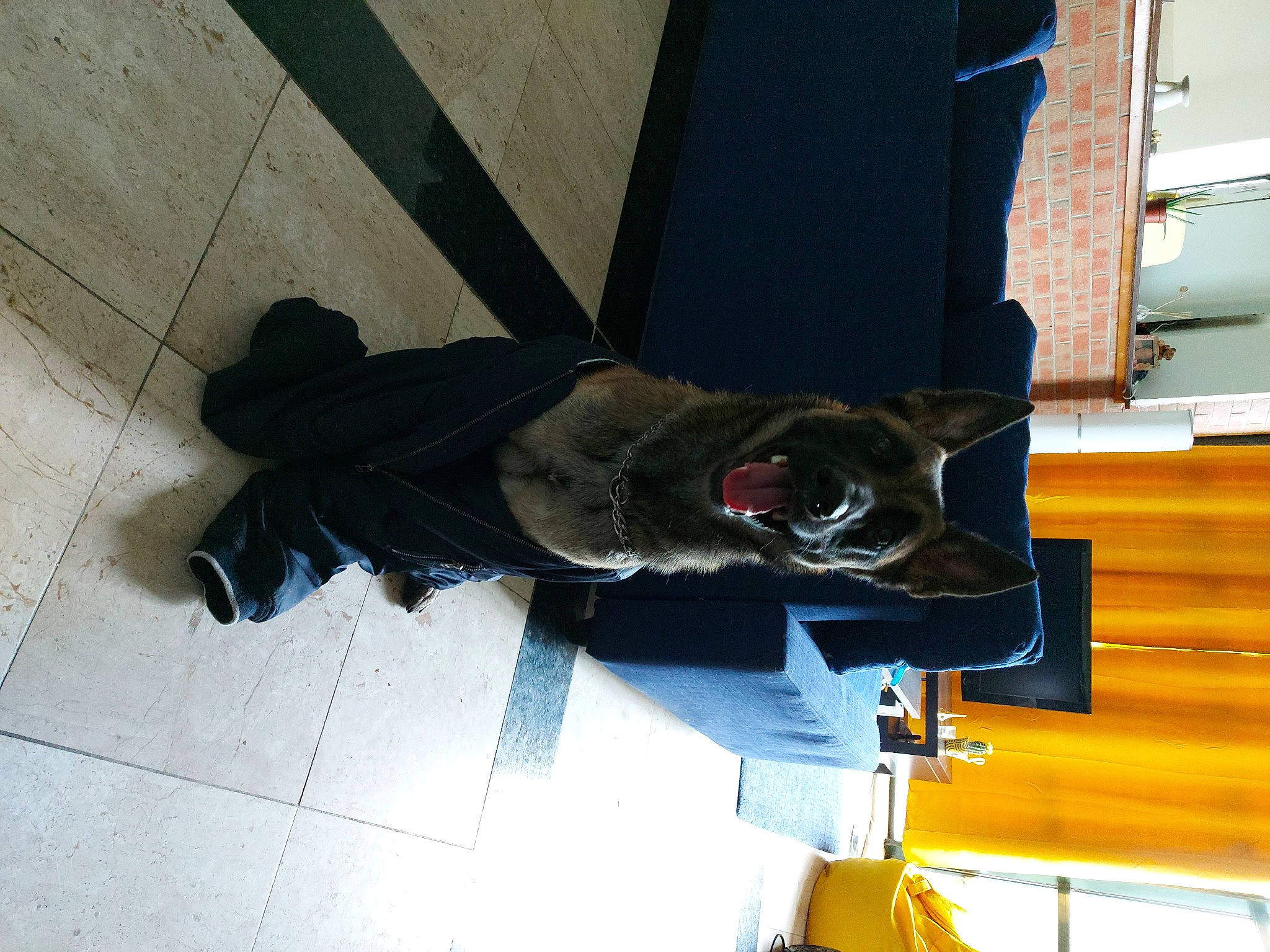 Lehahia participe au concours pour gagner de l'argent avec cette photo : art, carmine, composite_material, concrete, electric_blue, felidae, flooring, fur, metal, pedestrian, sculpture, shadow, sporting_group, statue, tail, visual_arts, walking_shoe, wing, wood