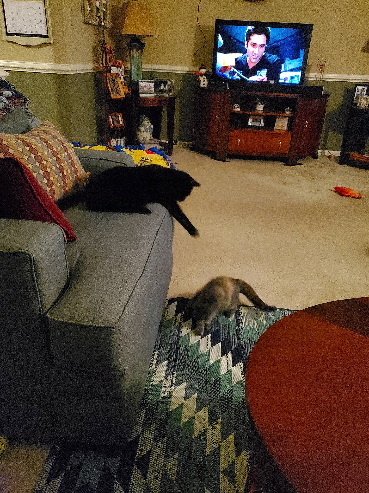 Licorice joined the competition — help win amazing prizes! carpet, chair, comfort, couch, floor, flooring, furniture, hardwood, home, house, interior_design, laminate_flooring, living_room, room, table, television, tile, wood_flooring