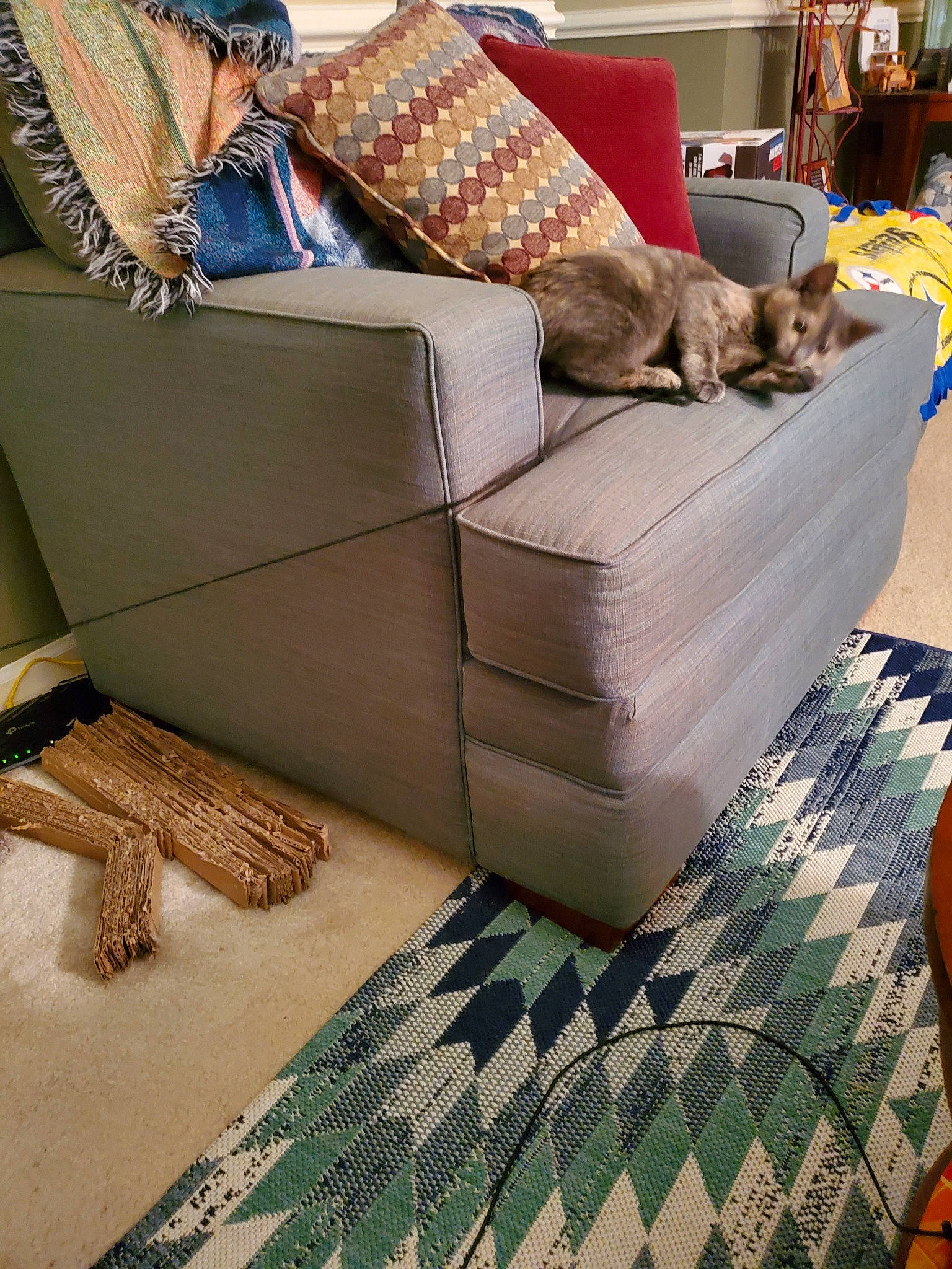 Callie is registered to the contest to win money with this photo: beige, canidae, chair, club_chair, comfort, companion_dog, couch, floor, flooring, furniture, hardwood, interior_design, living_room, loveseat, recliner, room, slipcover, studio_couch, table, wood