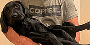 Milo joined the competition — help win amazing prizes! man, dog, black_dog, holding, indoor, tshirt, short_sleeve, door, content, pet, animal, smile, arms, relaxed, casual, human, friendship, companionship, cute, cozy