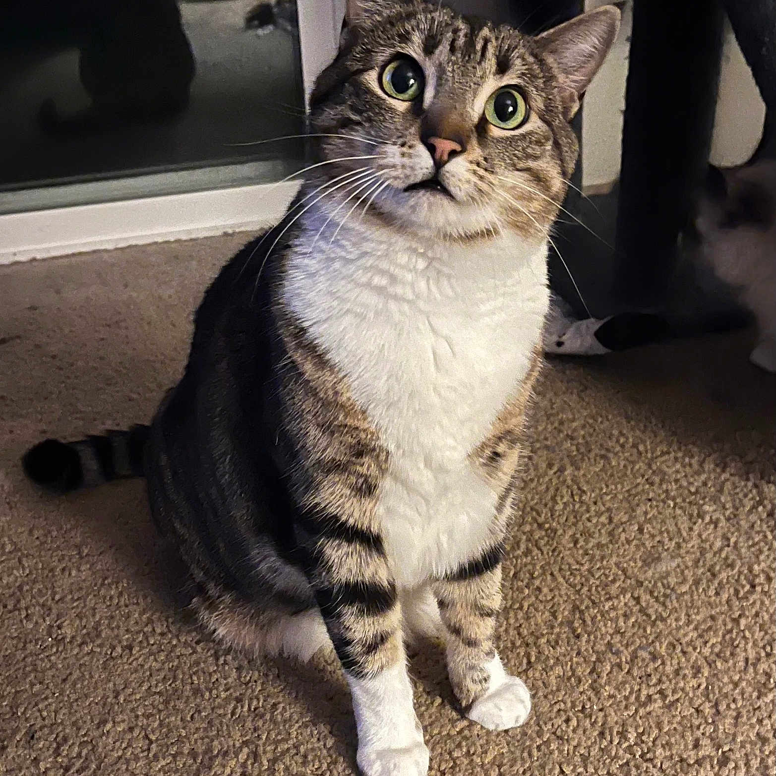 Luna