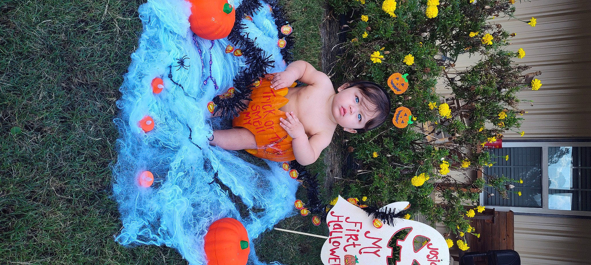 Josiah joined the competition — help win amazing prizes! baby, baby_toddler_clothing, child, doll, electric_blue, fun, fur, garden, grass, happy, orange, pattern, people_in_nature, person, plant, play, sitting, toddler, toy, tree