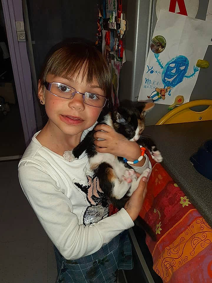 Manon a rejoint le concours — aidez-le/la à gagner de superbes lots ! canidae, carnivore, companion_dog, dog, dog_breed, fawn, fox_terrier, glasses, person, puppy, toy_dog