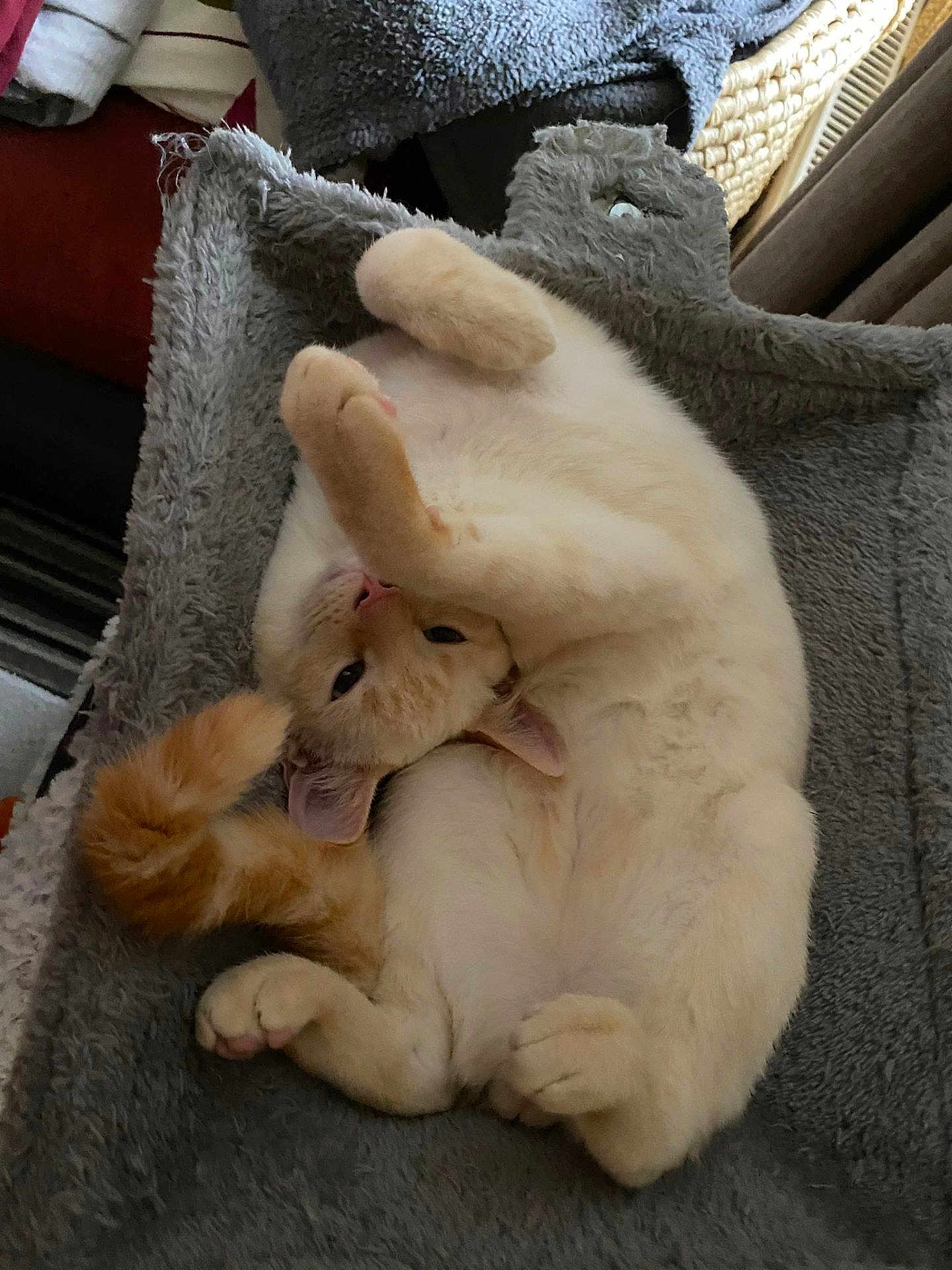 Opie