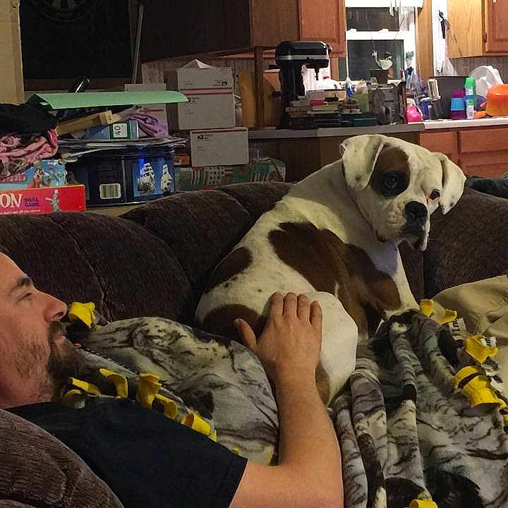 Lola is registered to the contest to win money with this photo: