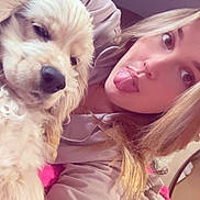 Bill a rejoint le concours — aidez-le/la à gagner de superbes lots ! dog, person, selfie, tongue_out, indoor, blanket, sleepy, fluffy, cute, casual_clothing, brown_hair, light_hair, face, pet, cozy, relaxed, close_up, playing, bedroom, fun