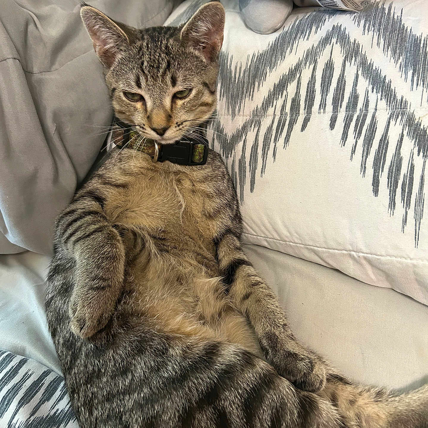 Milo