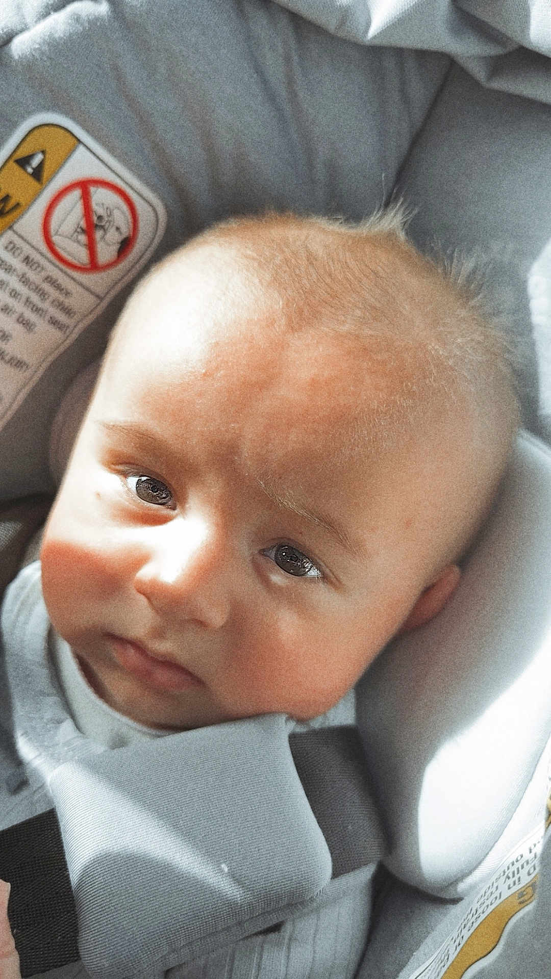 Cristian is registered to the contest to win money with this photo: baby, infant, face, car_seat, child, seatbelt, close_up, expression, light_and_shadow, soft_light, hair, skin, clothing, indoor, portrait, young_child, seat, baby_boy, cute, toddler