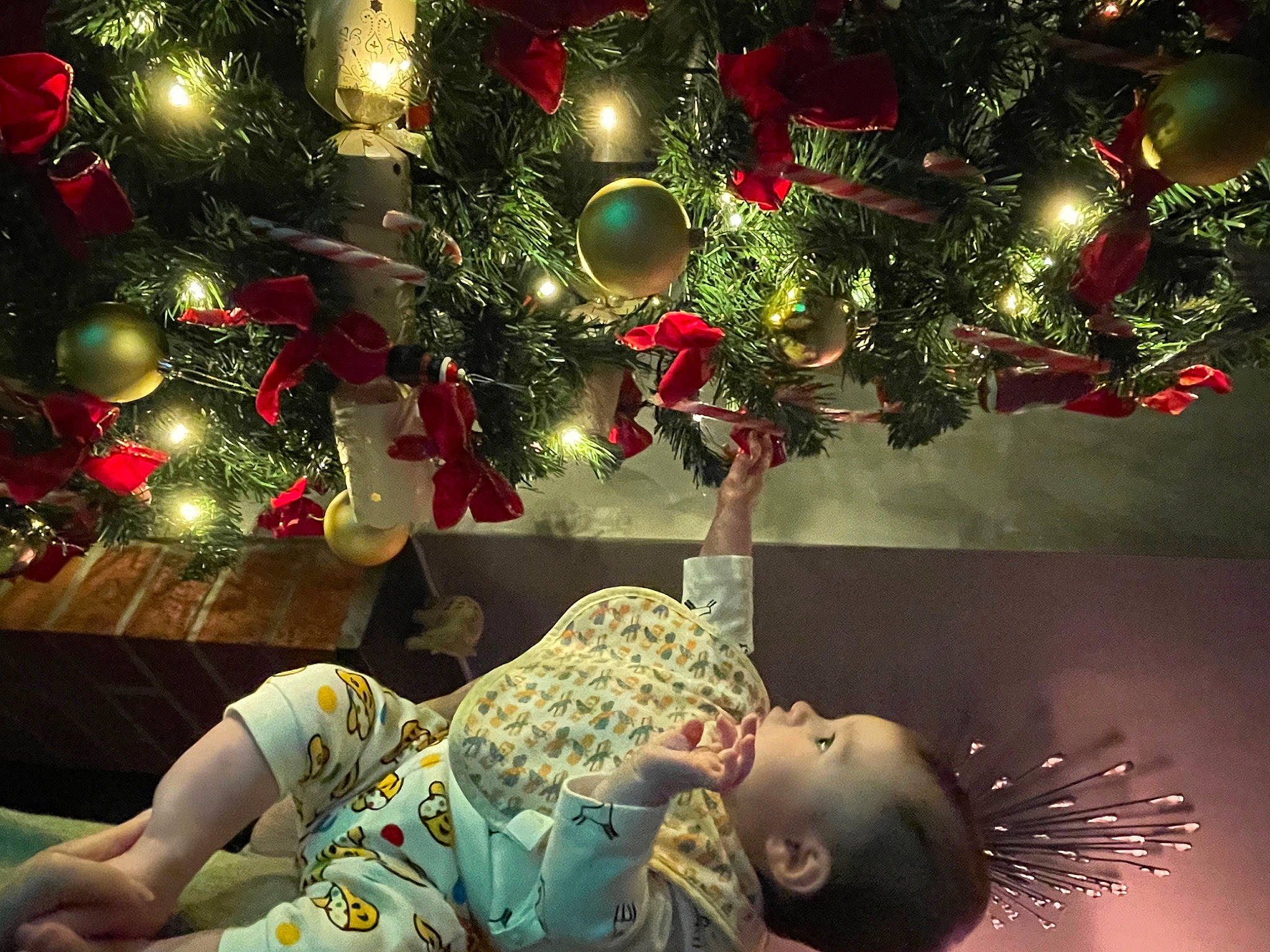 Ayla-rose joined the competition — help win amazing prizes! beauty, black, christmas_decoration, christmas_eve, christmas_ornament, christmas_tree, dress, event, evergreen, green, happy, holiday, holiday_ornament, light, ornament, person, plant, snapshot, tints_and_shades, tree