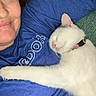 Iceee is registered to the contest to win money with this photo: cat, white_cat, sleeping_cat, pet, collar, person, smiling, blue_shirt, close_up, indoor, cozy, affection, resting, cute, feline, nap, love, comfort, human, friendship
