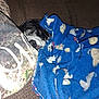 Haley May joined the competition — help win amazing prizes! dog, blanket, couch, pillow, sleeping, resting, cozy, indoor, pet, animal, comfort, snuggled, blue_blanket, brown_couch, patterned_blanket, relaxation, fur, face, napping, domestic