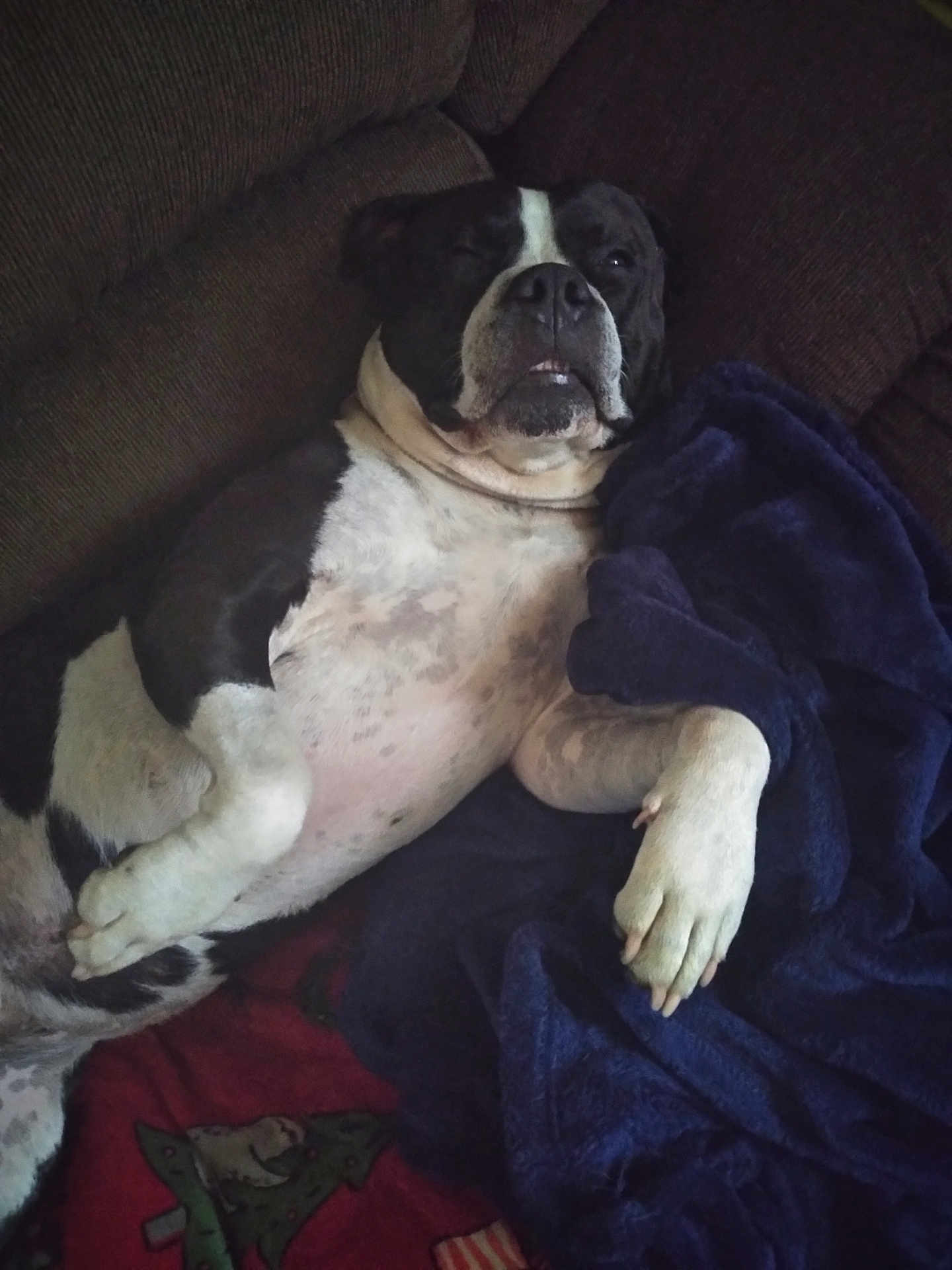 Tank