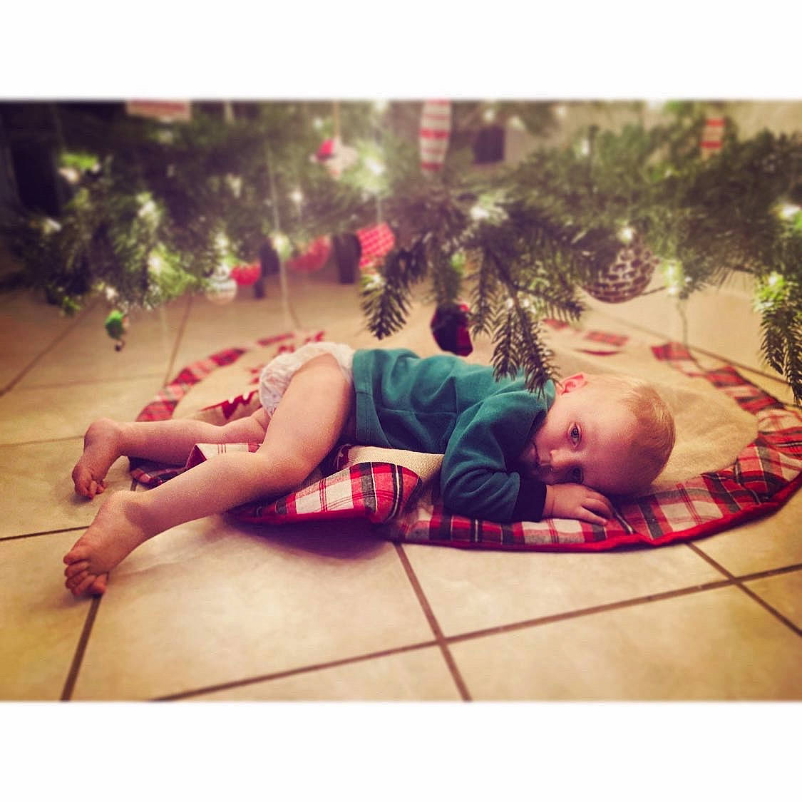 Cole is registered to the contest to win money with this photo: beauty, child, christmas_tree, dress, flooring, grass, hand, happy, leg, leisure, magenta, mammal, pattern, person, plant, shorts, thigh, tints_and_shades, toddler, tree