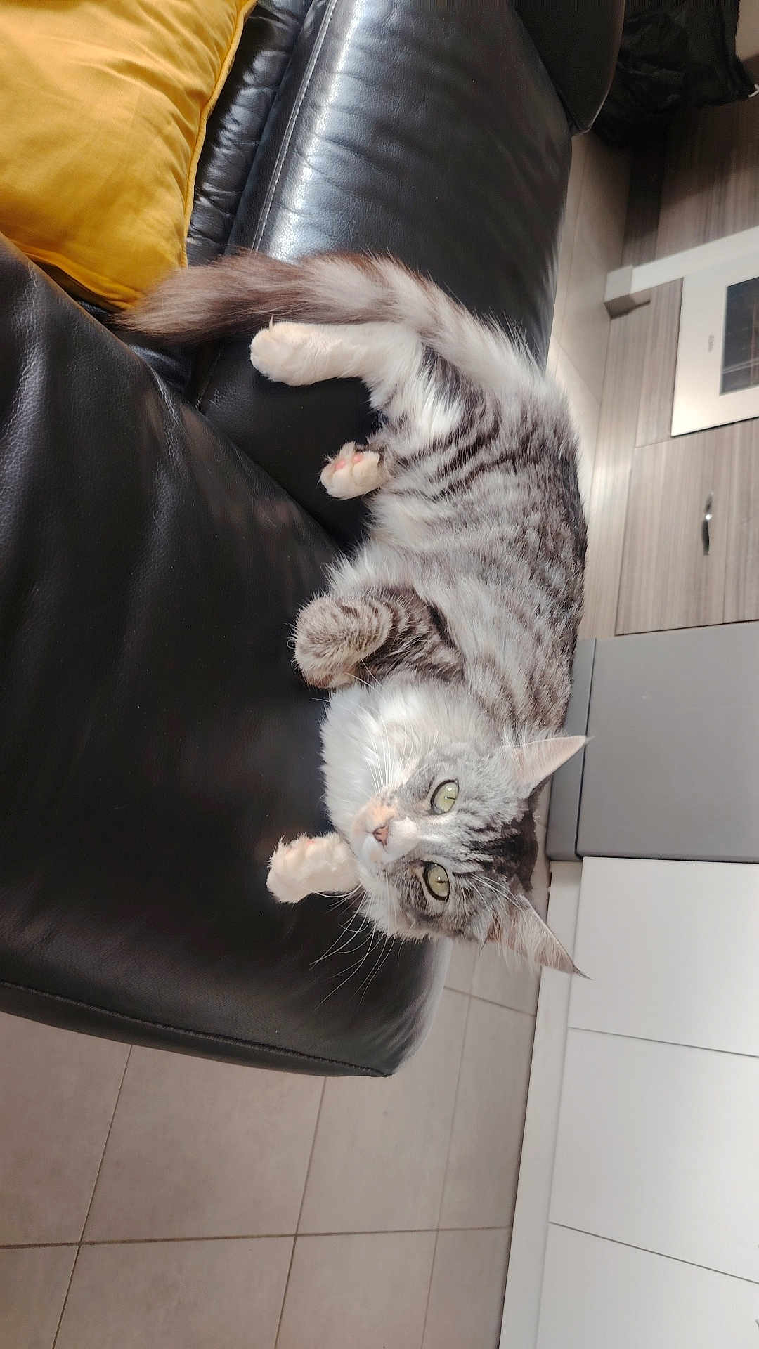 Nala