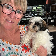 Belle participe au concours pour gagner de l'argent avec cette photo : woman, person, dog, shih_tzu, pet, portrait, selfie, smiling, glasses, braces, blonde_hair, fluffy_fur, white_fur, black_and_white, holding_pet, colorful_sweater, kitchen, home, indoor, companion_animal