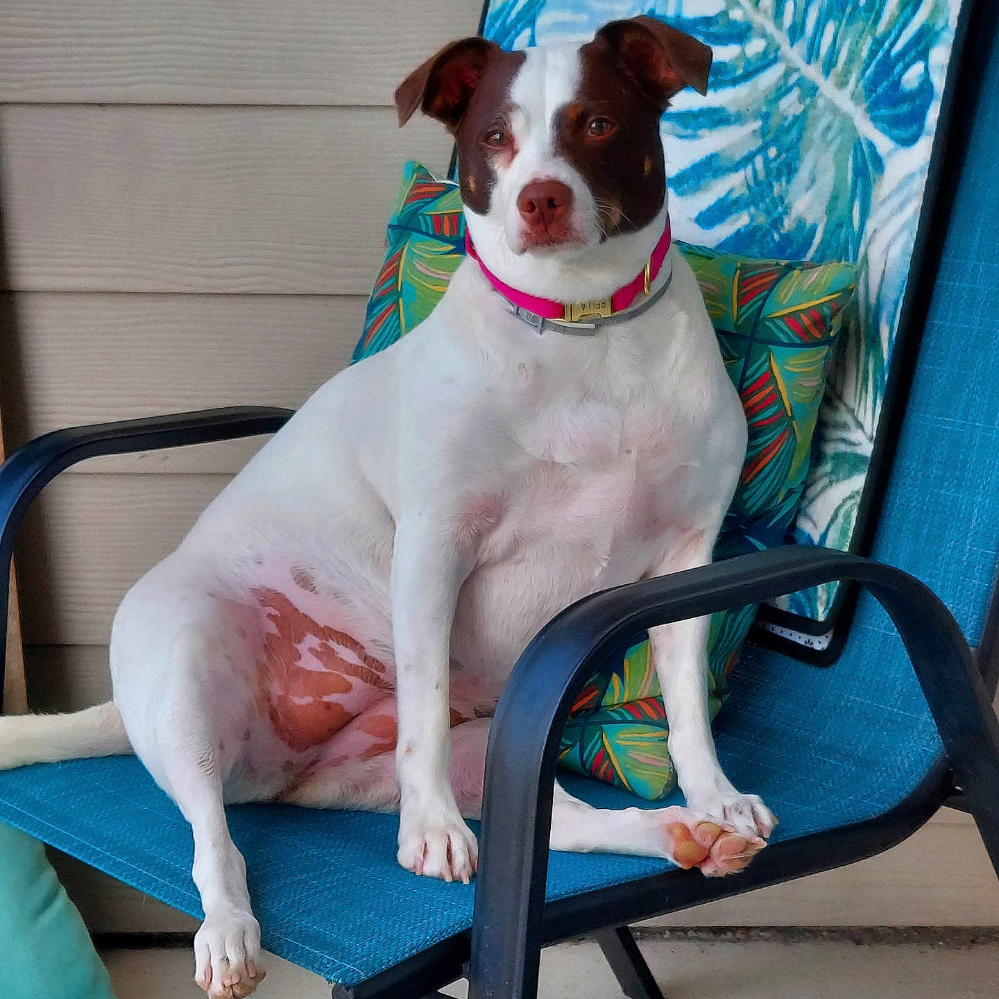 Bella