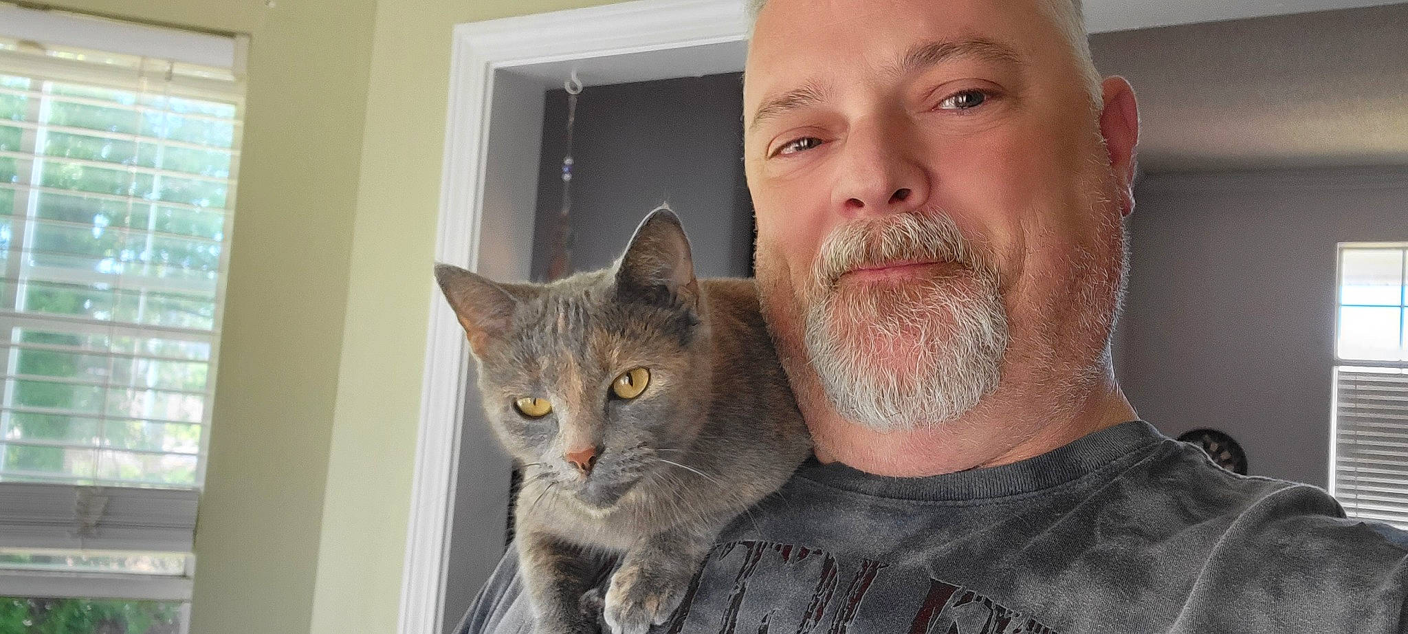 Coco is registered to the contest to win money with this photo: beard, carnivore, cat, domestic_short_haired_cat, ear, eyelash, facial_hair, felidae, fur, iris, moustache, selfie, small_to_medium_sized_cats, snout, t_shirt, whiskers, wrinkle