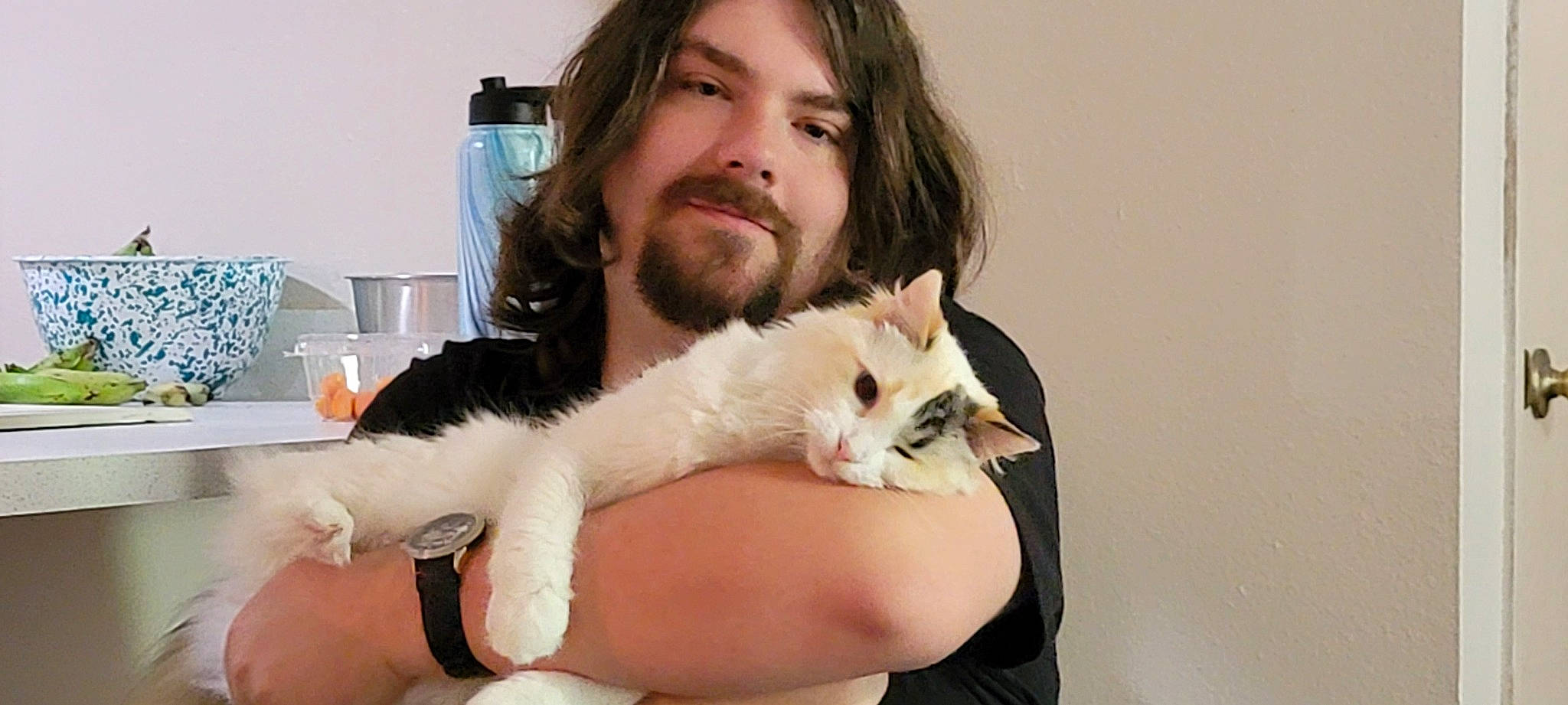 Jo-jo is registered to the contest to win money with this photo: abdomen, beard, carnivore, cat, comfort, companion_dog, ear, eye, eyebrow, eyelash, fawn, felidae, finger, gesture, hair, hand, head, neck, small_to_medium_sized_cats, whiskers